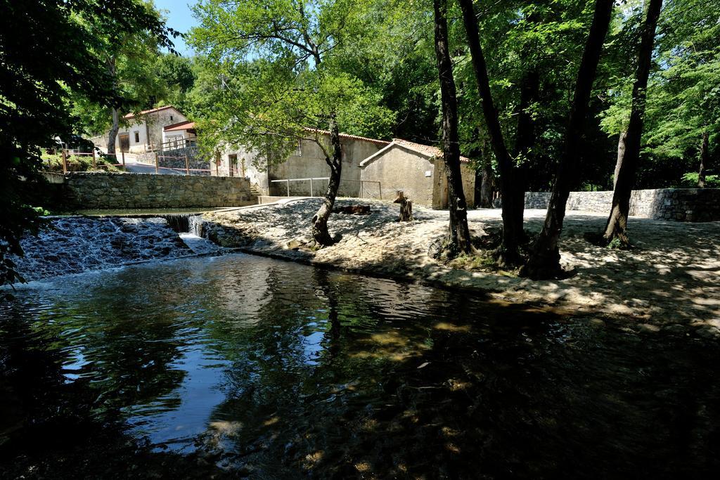 Tourist Farm Dujceva Domacija Βίλα Vremski Britof Εξωτερικό φωτογραφία